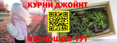 СК Кингисепп