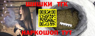 СК Кингисепп
