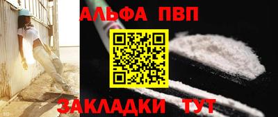 СК Кингисепп