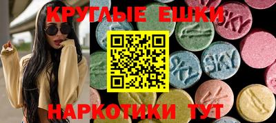СК Кингисепп