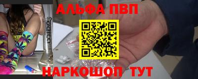 СК Кингисепп