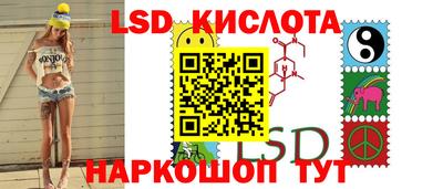 СК Кингисепп