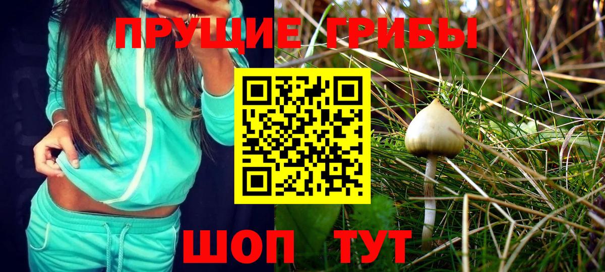 Галлюциногенные грибы Psilocybine cubensis  Вход с VPN  Малоярославец  Галлюциногенные грибы Psilocybe 
