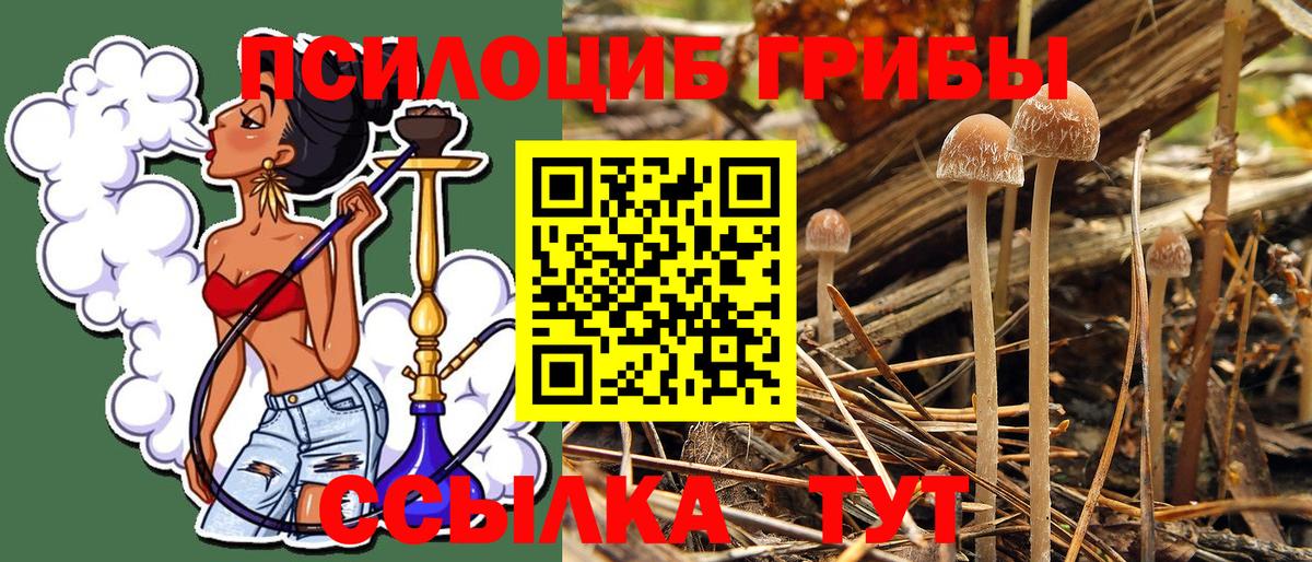 Галлюциногенные грибы Magic Shrooms Малоярославец